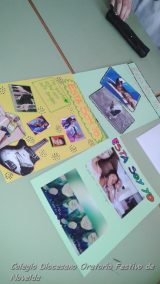 My Gallery (23/26)